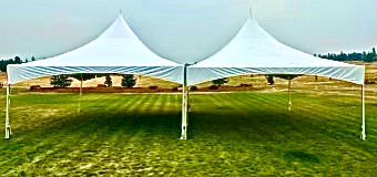 Party Tents & Coverings image 2