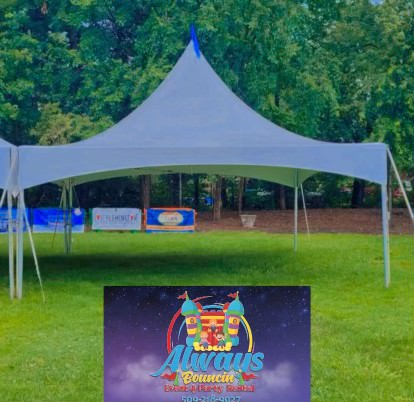 Party Tents & Coverings image 3